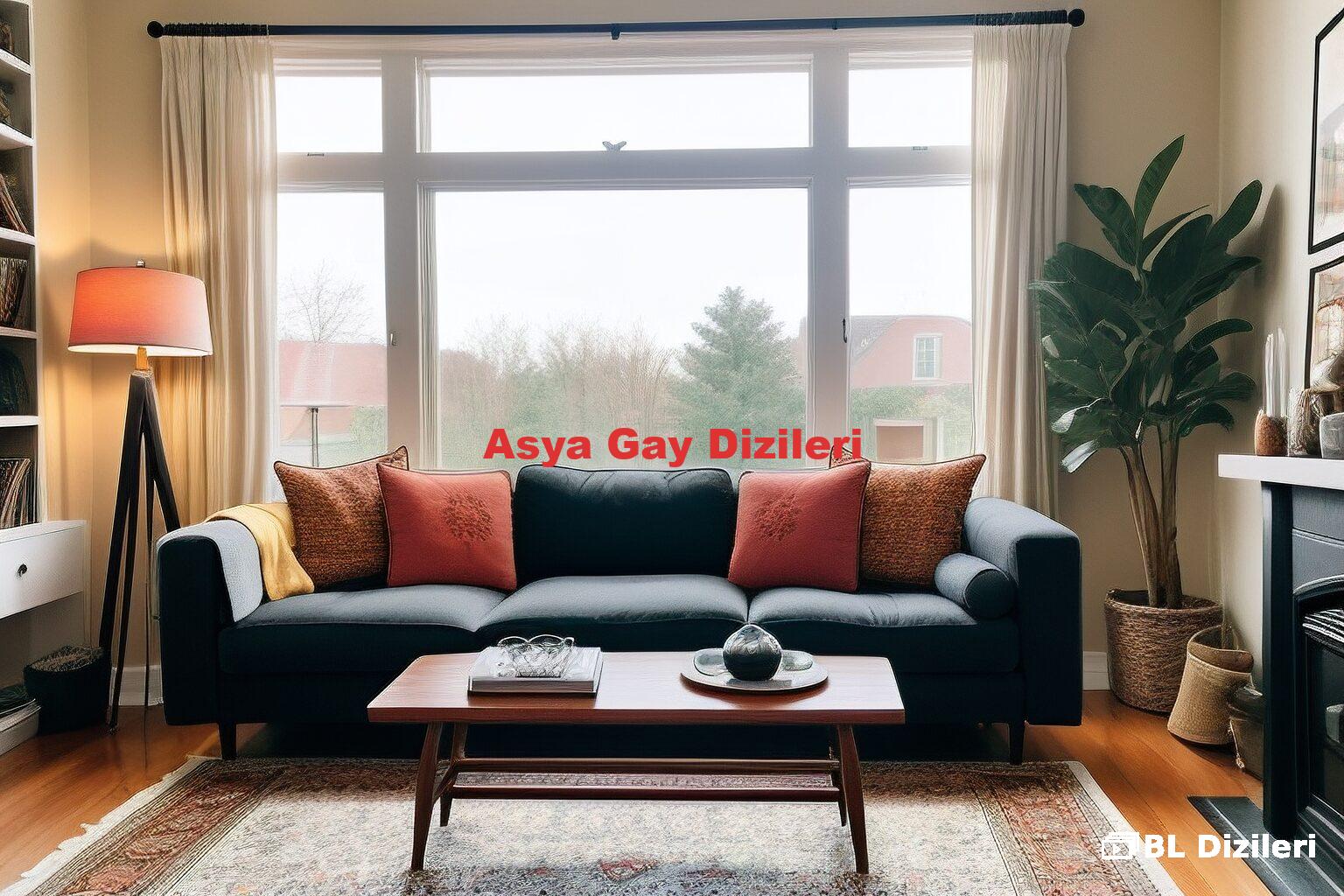 Asya Gay Dizileri