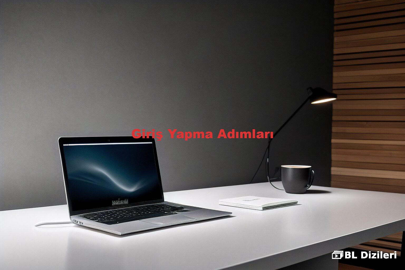 Giriş Yapma Adımları