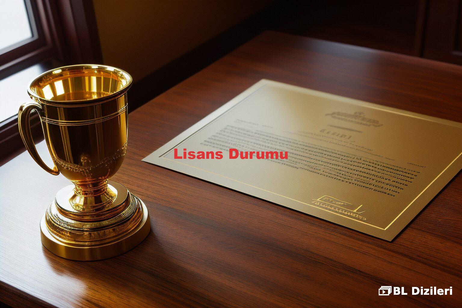 Lisans Durumu