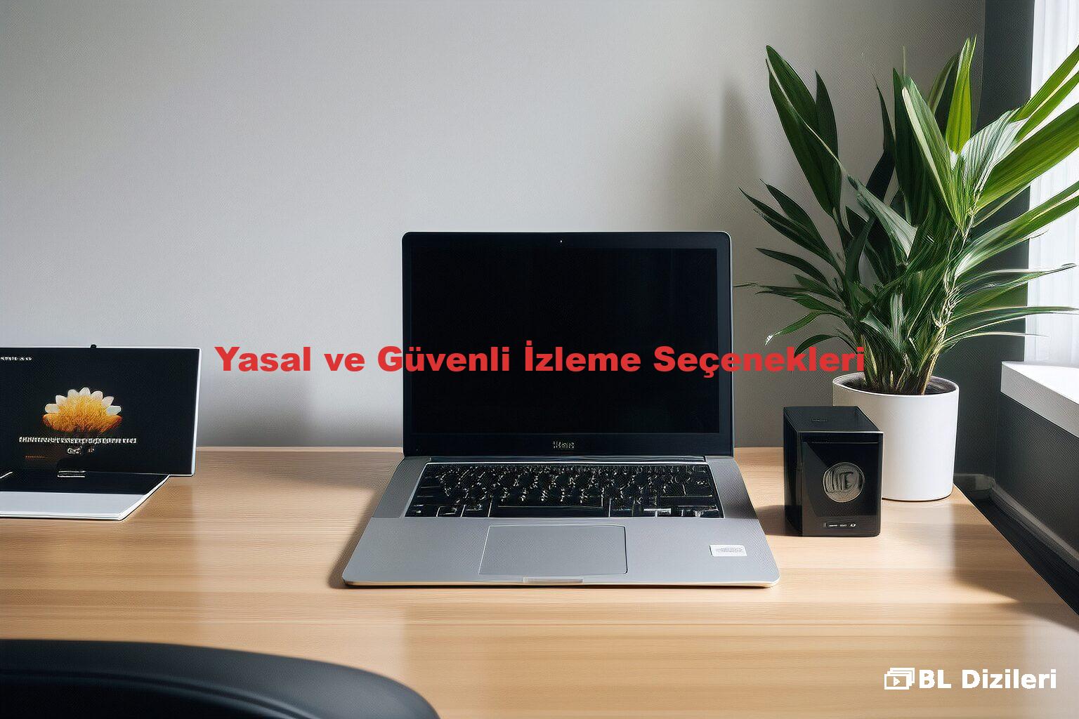 Yasal ve Güvenli İzleme Seçenekleri