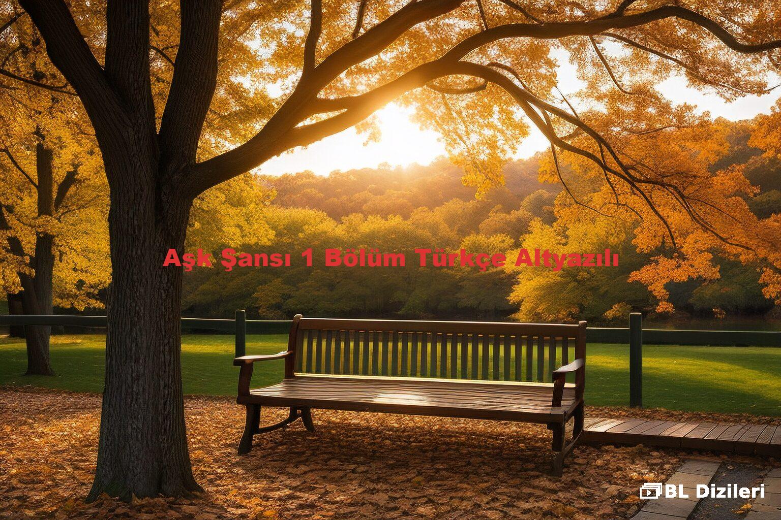 Aşk Şansı 1 Bölüm Türkçe Altyazılı