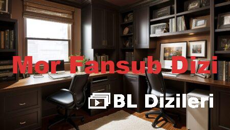 Mor Fansub Dizi