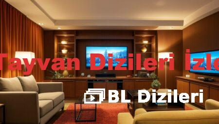 Tayvan Dizileri İzle