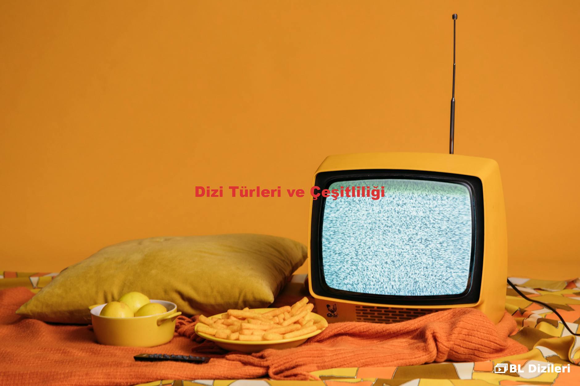 Dizi Türleri ve Çeşitliliği