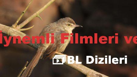 Aras Bulut İynemli Filmleri ve TV Dizileri