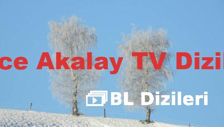 Birce Akalay TV Dizileri