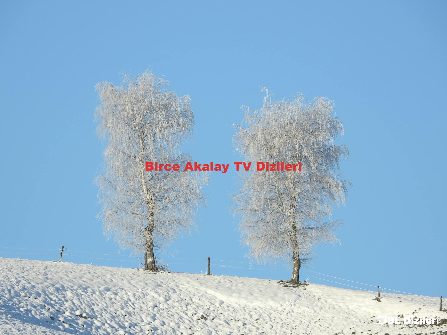 Birce Akalay TV Dizileri