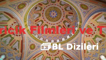 Burcu Biricik Filmleri ve TV Dizileri