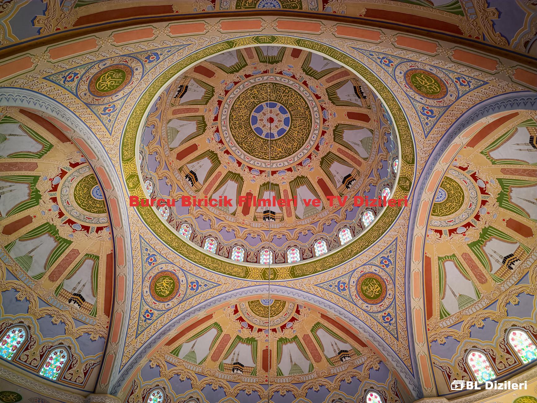 Burcu Biricik Filmleri ve TV Dizileri