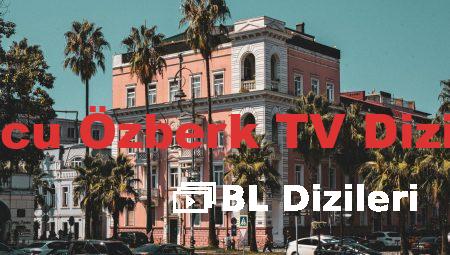 Burcu Özberk TV Dizileri