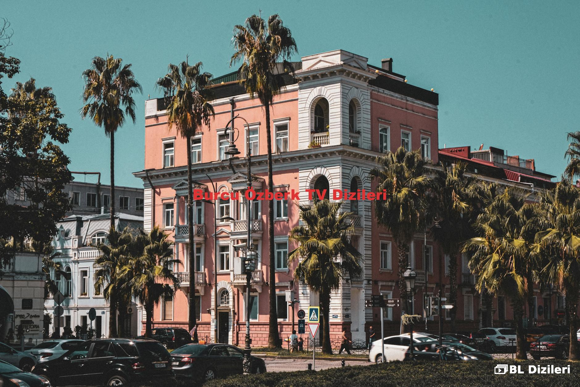 Burcu Özberk TV Dizileri