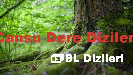 Cansu Dere Dizileri