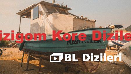 Dizigom Kore Dizileri