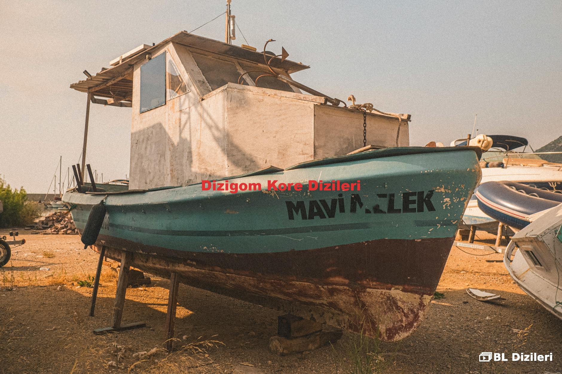 Dizigom Kore Dizileri