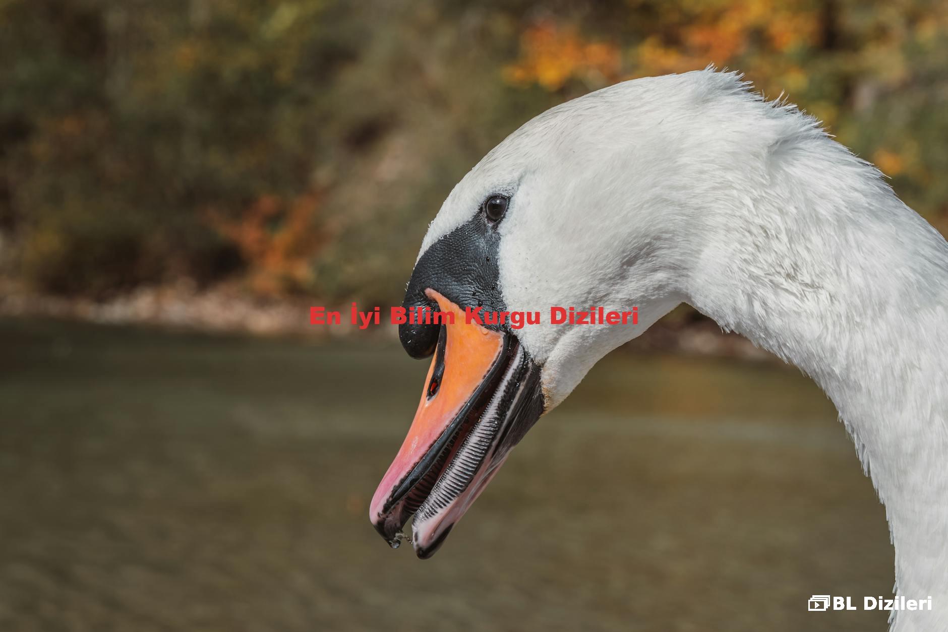 En İyi Bilim Kurgu Dizileri