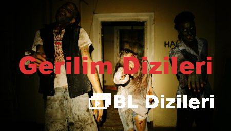 Gerilim Dizileri