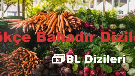 Gökçe Bahadır Dizileri
