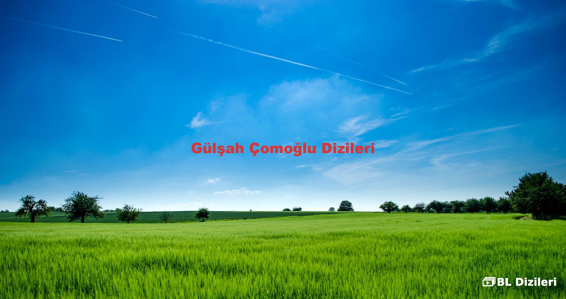 Gülşah Çomoğlu Dizileri