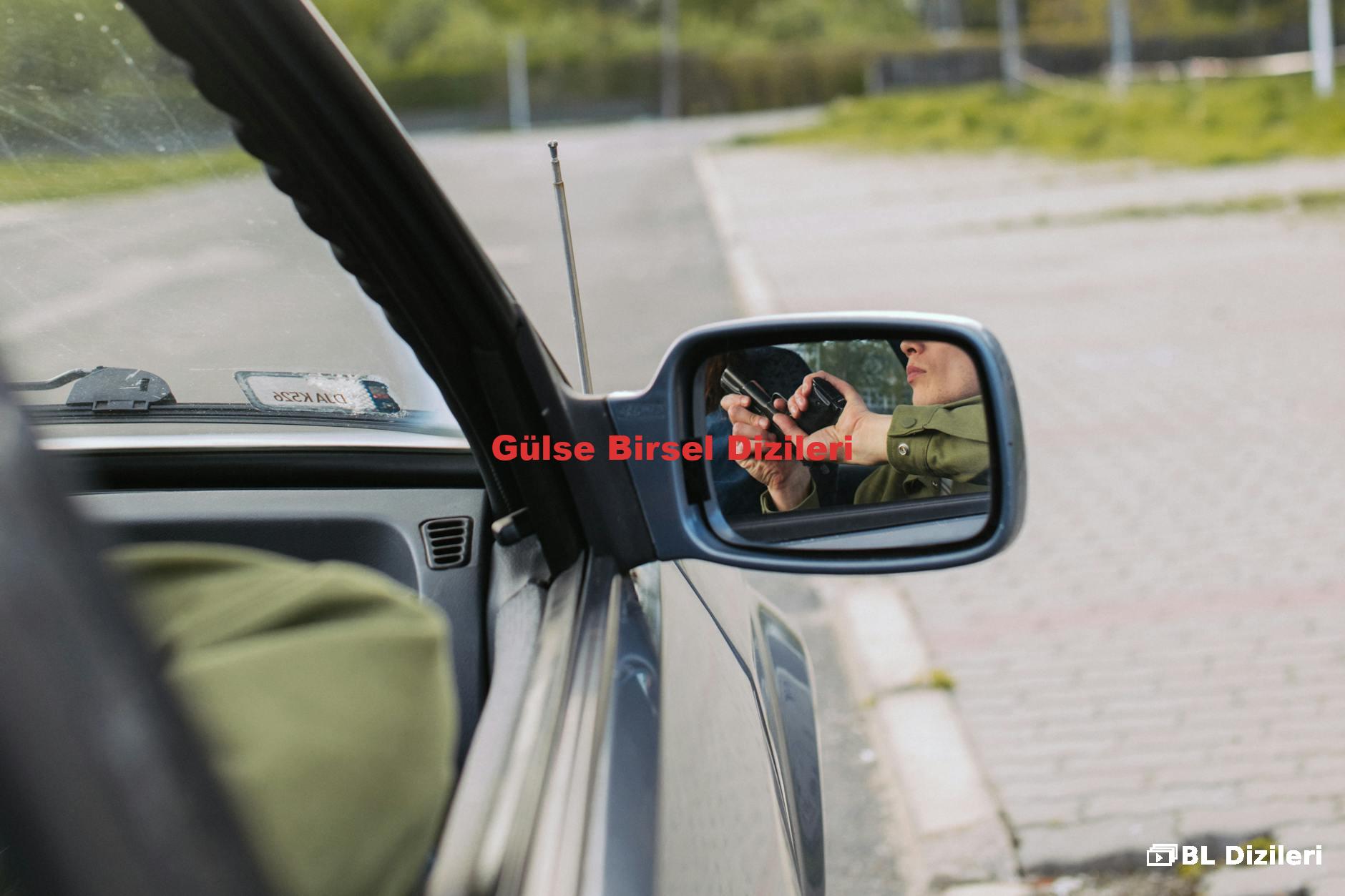 Gülse Birsel Dizileri