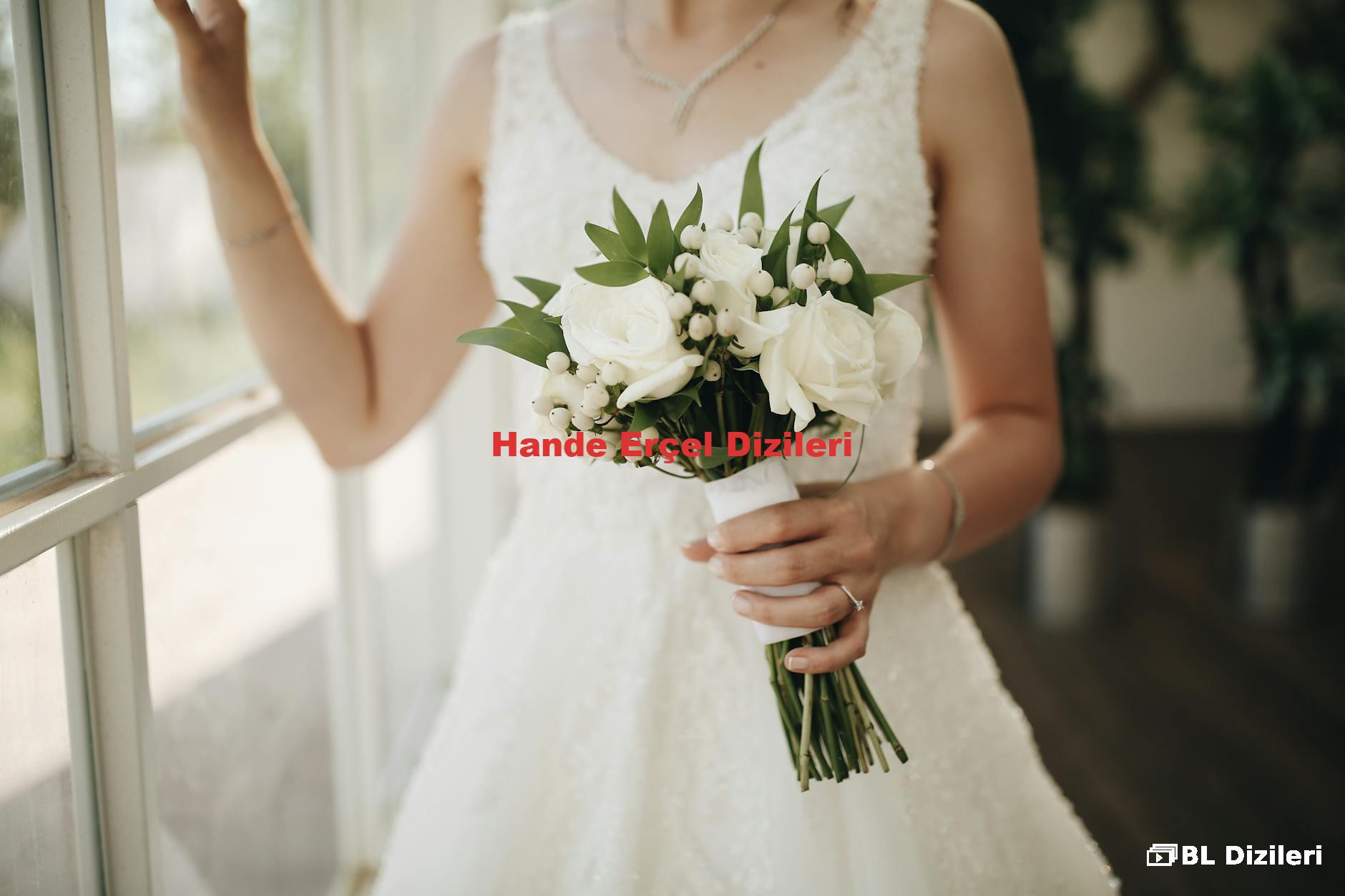 Hande Erçel Dizileri