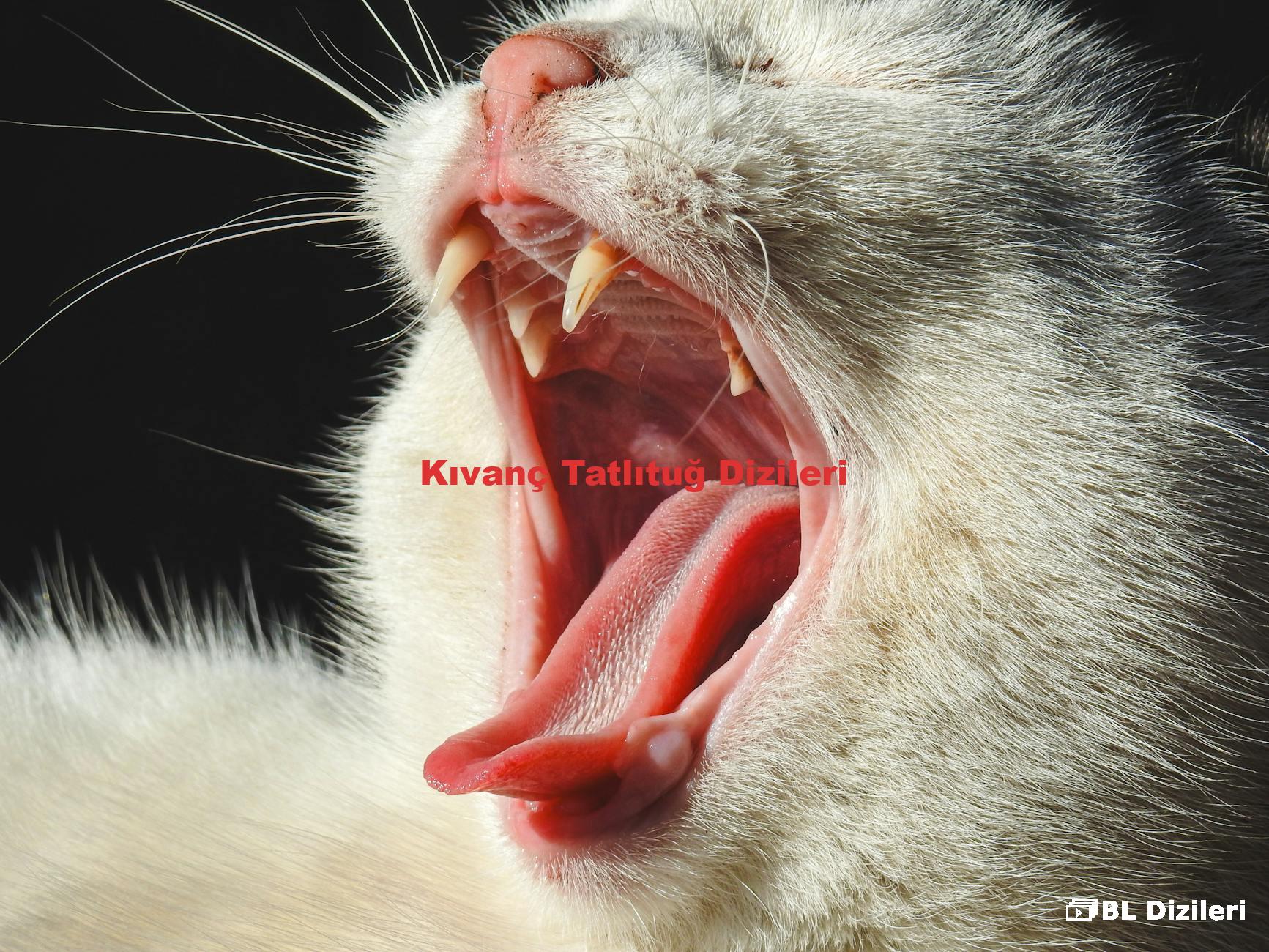 Kıvanç Tatlıtuğ Dizileri