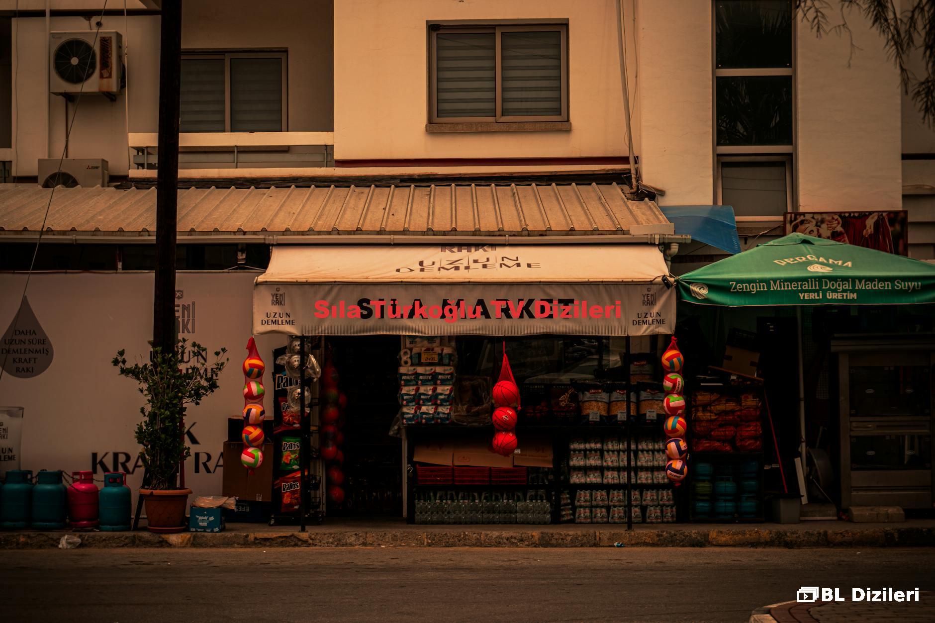 Sıla Türkoğlu TV Dizileri