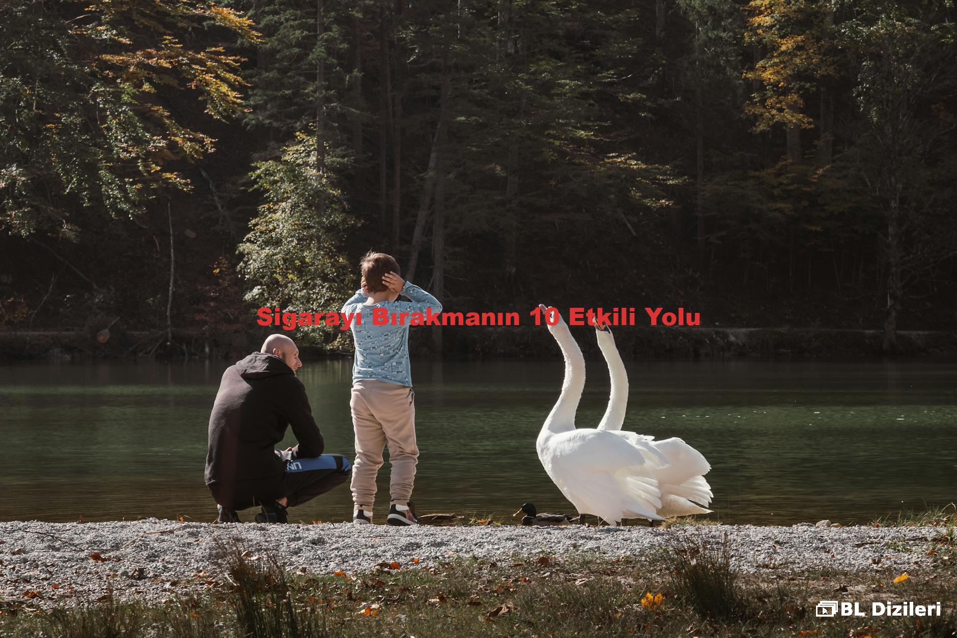 Sigarayı Bırakmanın 10 Etkili Yolu