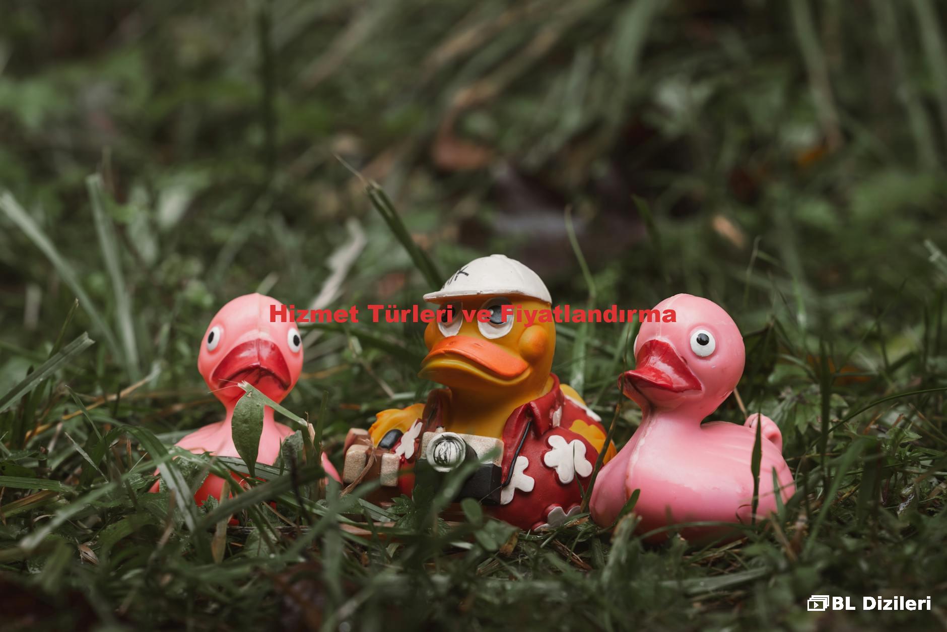 Hizmet Türleri ve Fiyatlandırma