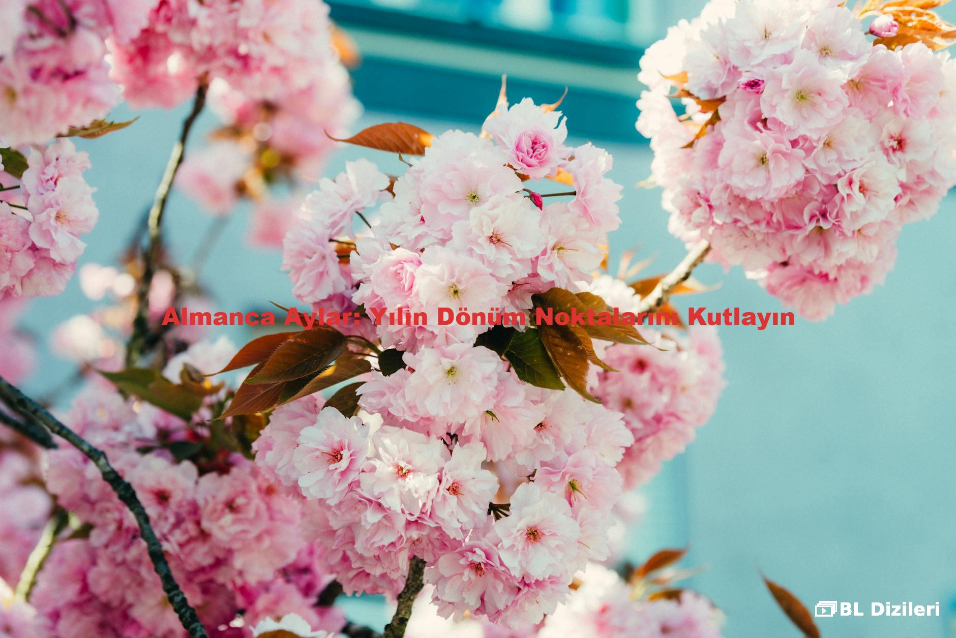 Almanca Aylar: Yılın Dönüm Noktalarını Kutlayın