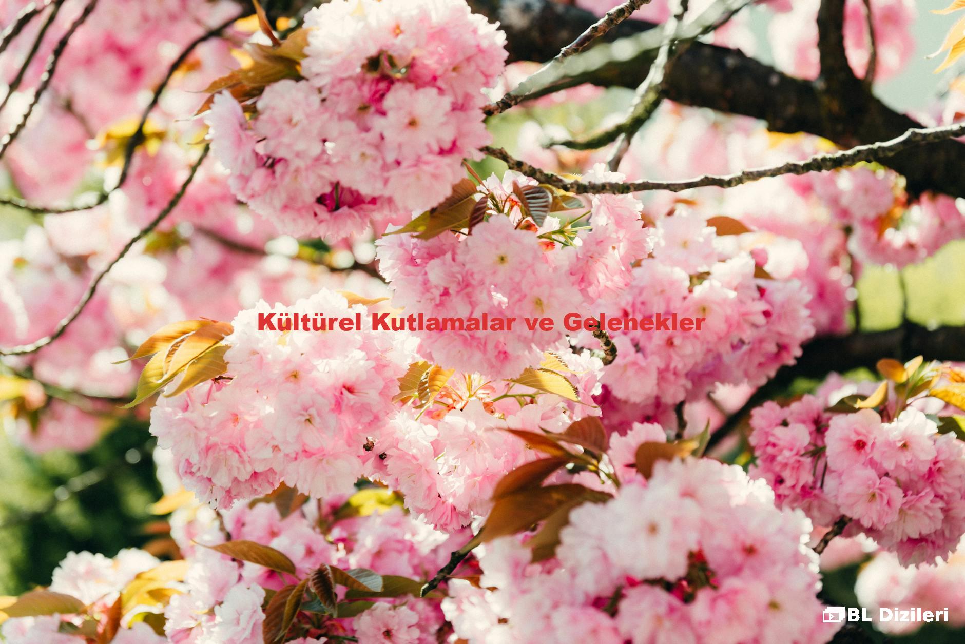 Kültürel Kutlamalar ve Gelenekler