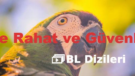 Ara Atkı ile Rahat ve Güvenli Yolculuk