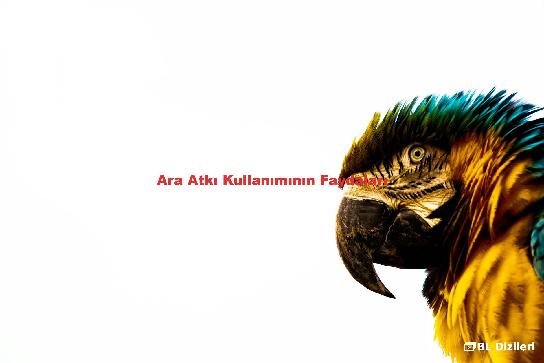 Ara Atkı Kullanımının Faydaları