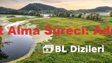 Bursa’da Ehliyet Alma Süreci: Adım Adım Rehber