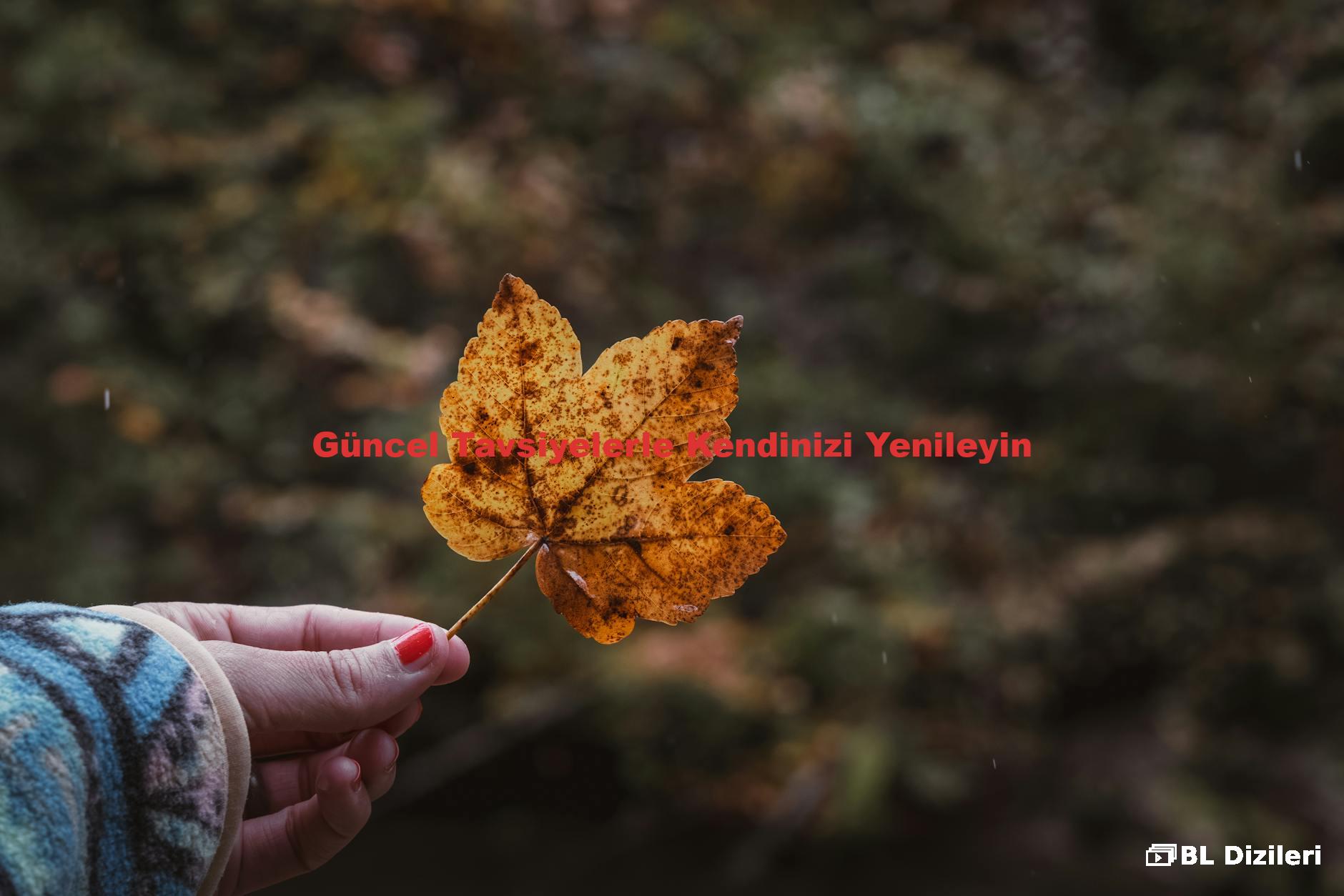 Güncel Tavsiyelerle Kendinizi Yenileyin