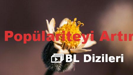 Instagram’da Popülariteyi Artırmanın Yolları