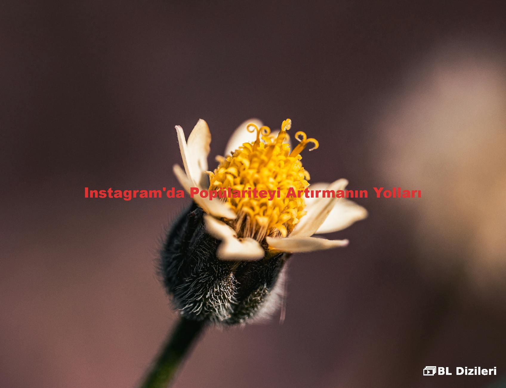 Instagram'da Popülariteyi Artırmanın Yolları