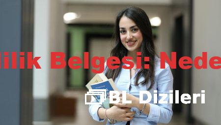 Mesleki Yeterlilik Belgesi: Neden Almalısınız?