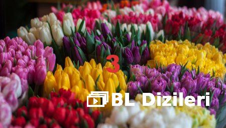 Bursa’da Çiçeklerle Dolu Romantik Bir Gün Planlayın