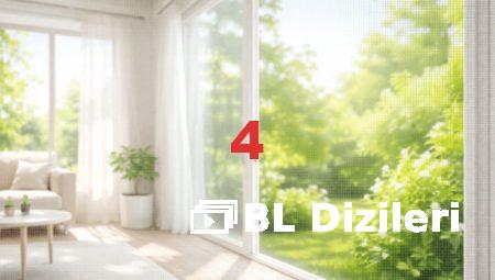 Ankara Sineklik Modelleri: Hangisi Sizi Bekliyor?